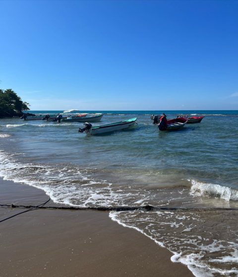 jamaica excursions