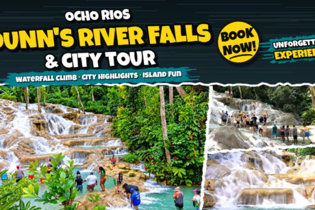 Dunn's River Falls and City Tour, Ocho Rios